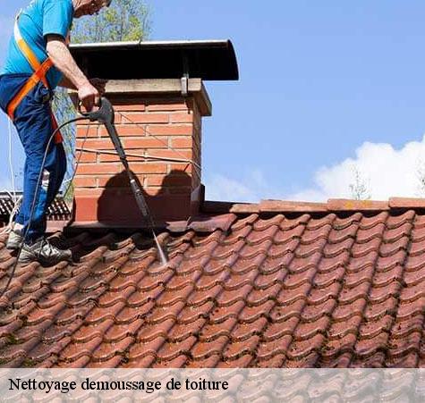 Nettoyage demoussage de toiture