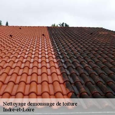 Nettoyage demoussage de toiture Indre-et-Loire 
