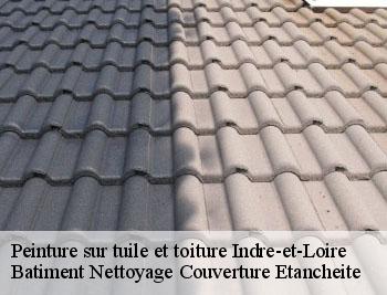 Peinture sur tuile et toiture 37 Indre-et-Loire  Vavasseur Couverture