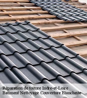 Réparation de toiture 37 Indre-et-Loire  Batiment Nettoyage Couverture Etancheite