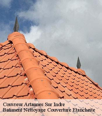 Couvreur  artannes-sur-indre-37260 Vavasseur Couverture