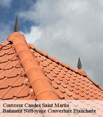 Couvreur  candes-saint-martin-37500  Elfrick couverture 37