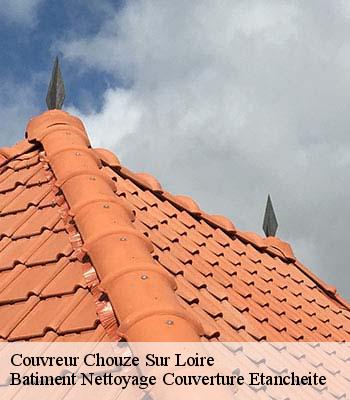 Couvreur chouze-sur-loire-37140 Batiment Nettoyage Couverture Etancheite