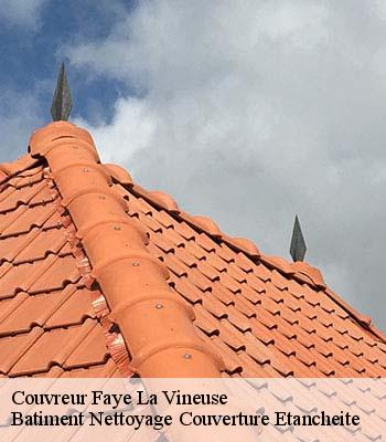 Couvreur  faye-la-vineuse-37120 Batiment Nettoyage Couverture Etancheite