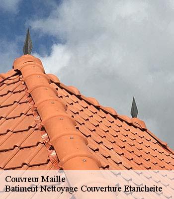 Couvreur maille-37800 Batiment Nettoyage Couverture Etancheite