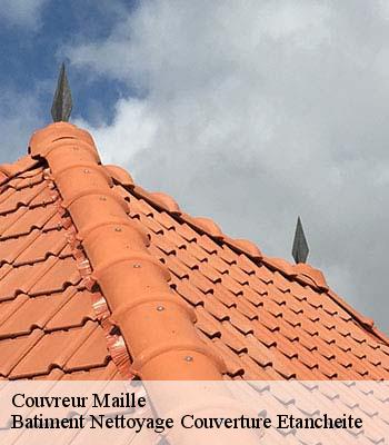 Couvreur  maille-37800  Elfrick couverture 37