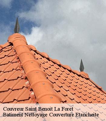 Couvreur  saint-benoit-la-foret-37500 Vavasseur Couverture