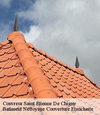 Couvreur saint-etienne-de-chigny-37230 Batiment Nettoyage Couverture Etancheite
