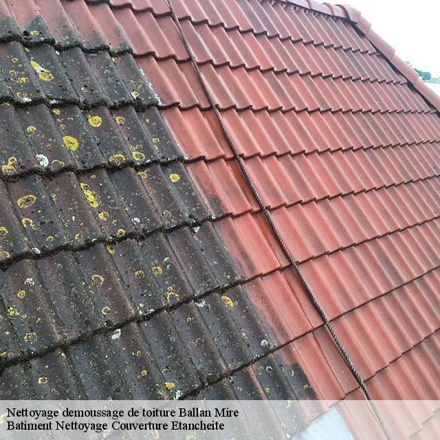 Nettoyage demoussage de toiture  ballan-mire-37510 Vavasseur Couverture