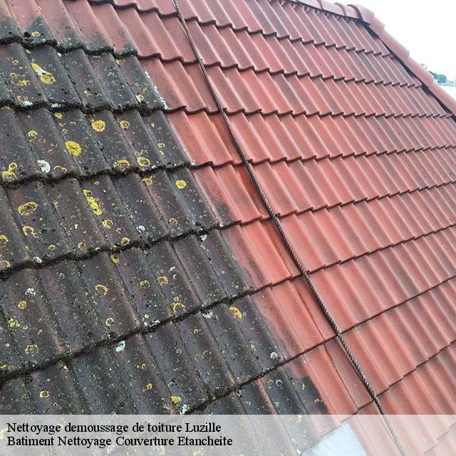 Nettoyage demoussage de toiture  luzille-37150 Vavasseur Couverture