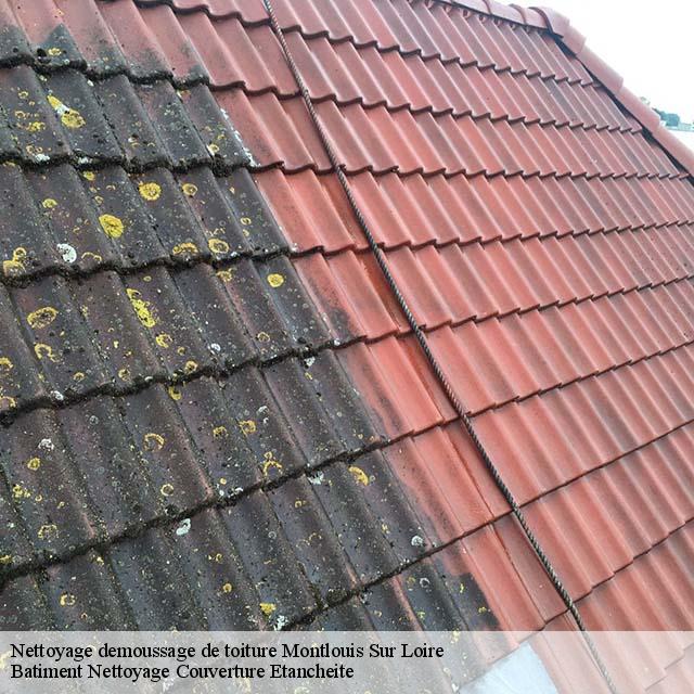 Nettoyage demoussage de toiture  montlouis-sur-loire-37270 Vavasseur Couverture