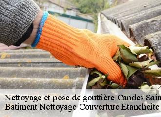 Nettoyage et pose de gouttière  candes-saint-martin-37500 Vavasseur Couverture