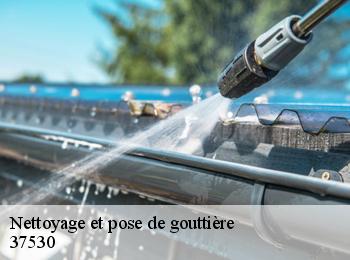 Nettoyage et pose de gouttière 37530