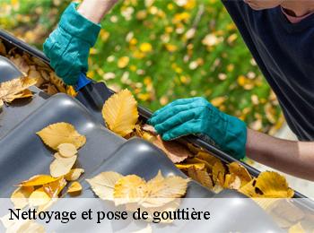 Nettoyage et pose de gouttière