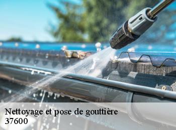 Nettoyage et pose de gouttière 37600