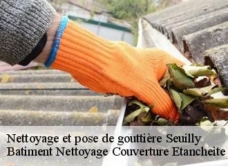 Nettoyage et pose de gouttière  seuilly-37500 Vavasseur Couverture