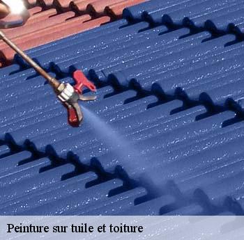 Peinture sur tuile et toiture