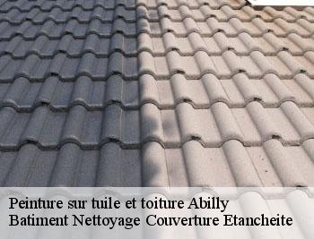 Peinture sur tuile et toiture abilly-37160 Vavasseur Couverture