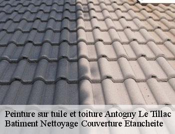 Peinture sur tuile et toiture  antogny-le-tillac-37800 Vavasseur Couverture