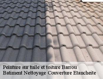 Peinture sur tuile barrou-37350 De Meulemester Couverture