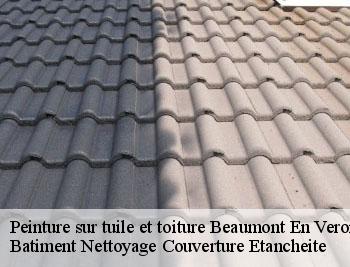 Peinture sur tuile et toiture beaumont-en-veron-37420 Entrerpise Pro Couverture 37
