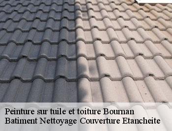Peinture sur tuile et toiture bournan-37240 De Meulemester Couverture