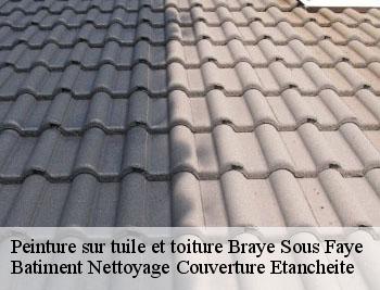 Peinture sur tuile et toiture braye-sous-faye-37120 David toiture