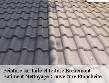 Peinture sur tuile et toiture  brehemont-37130 Batiment Nettoyage Couverture Etancheite