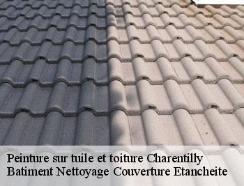Peinture sur tuile et toiture charentilly-37390 De Meulemester Couverture
