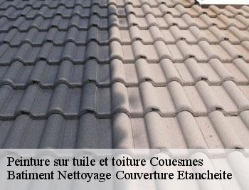 Peinture sur tuile et toiture  couesmes-37330 Batiment Nettoyage Couverture Etancheite