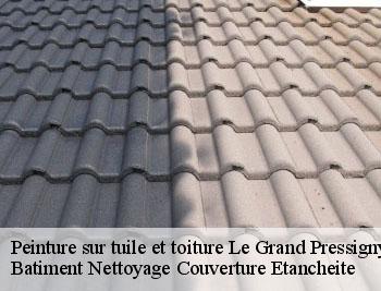 Peinture sur tuile le-grand-pressigny-37350