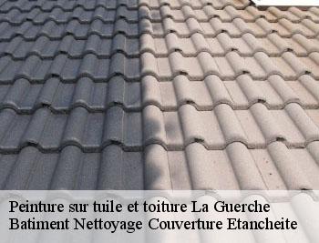 Peinture sur tuile et toiture la-guerche-37350 David toiture