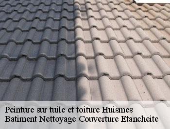 Peinture sur tuile et toiture huismes-37420 Elfrick couverture 37