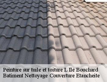 Peinture sur tuile et toiture l-ile-bouchard-37220 David toiture