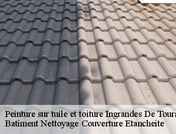 Peinture sur tuile et toiture ingrandes-de-touraine-37140 Batiment Nettoyage Couverture Etancheite