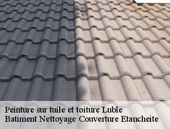 Peinture sur tuile et toiture luble-37330 Vavasseur Couverture