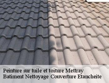Peinture sur tuile et toiture mettray-37390 David toiture