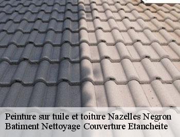 Peinture sur tuile et toiture nazelles-negron-37530 Vavasseur Couverture