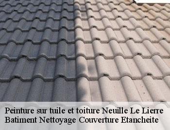 Peinture sur tuile et toiture neuille-le-lierre-37380 David toiture