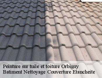 Peinture sur tuile et toiture orbigny-37460 Elfrick couverture 37