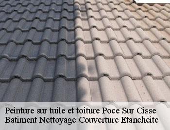 Peinture sur tuile et toiture poce-sur-cisse-37530 Vavasseur Couverture