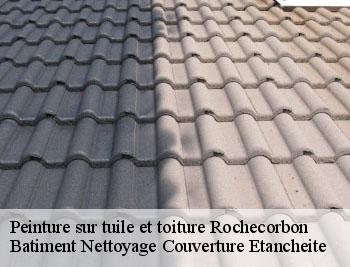 Peinture sur tuile et toiture rochecorbon-37210 Vavasseur Couverture