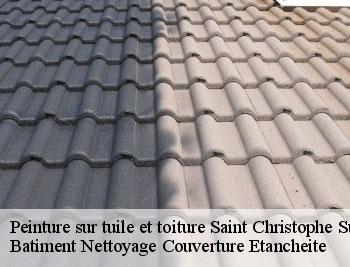 Peinture sur tuile et toiture  saint-christophe-sur-le-nais-37370 Vavasseur Couverture