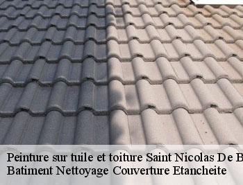 Peinture sur tuile et toiture  saint-nicolas-de-bourgueil-37140 Vavasseur Couverture