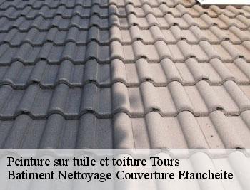 Peinture sur tuile et toiture tours-37000 David toiture