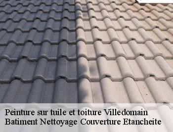 Peinture sur tuile et toiture villedomain-37460 Vavasseur Couverture