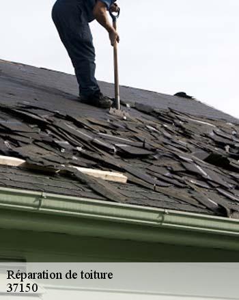 Réparation de toiture  37150