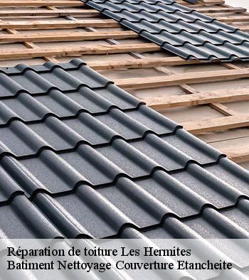 Réparation de toiture les-hermites-37110 David toiture