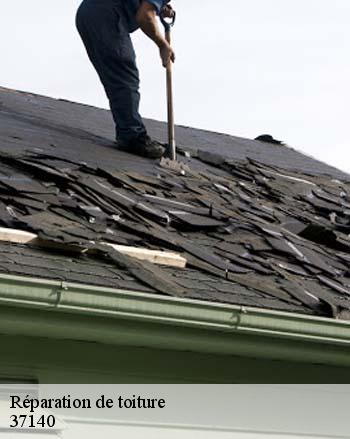 Réparation de toiture  37140